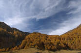 20091028_112759 Boschi autunnali.jpg